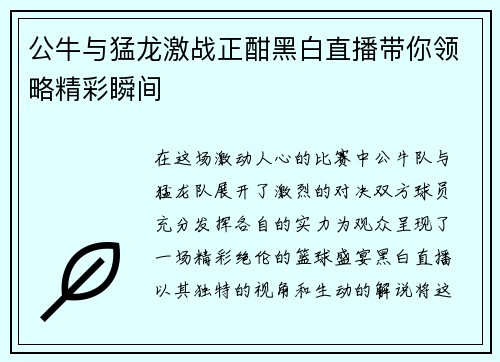 公牛与猛龙激战正酣黑白直播带你领略精彩瞬间